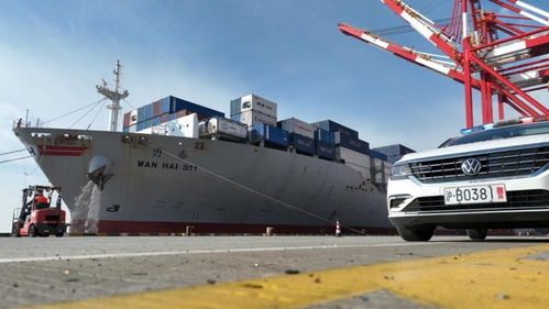 春節臨近，上海邊檢助力民生物資快速抵滬，保障國際船舶管理業務高效運轉